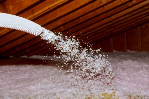 Best DIY Insulation Kits and Guidance in Montague, MI