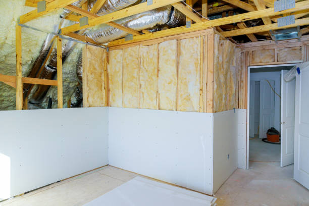 Best Geographic-Specific Insulation Services in Montague, MI
