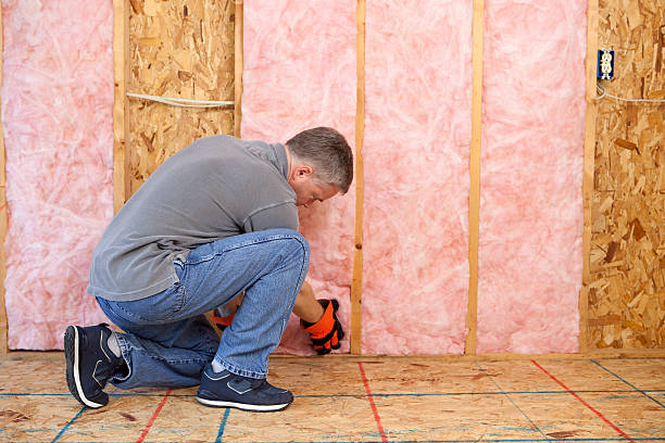 Best Residential Insulation in Montague, MI